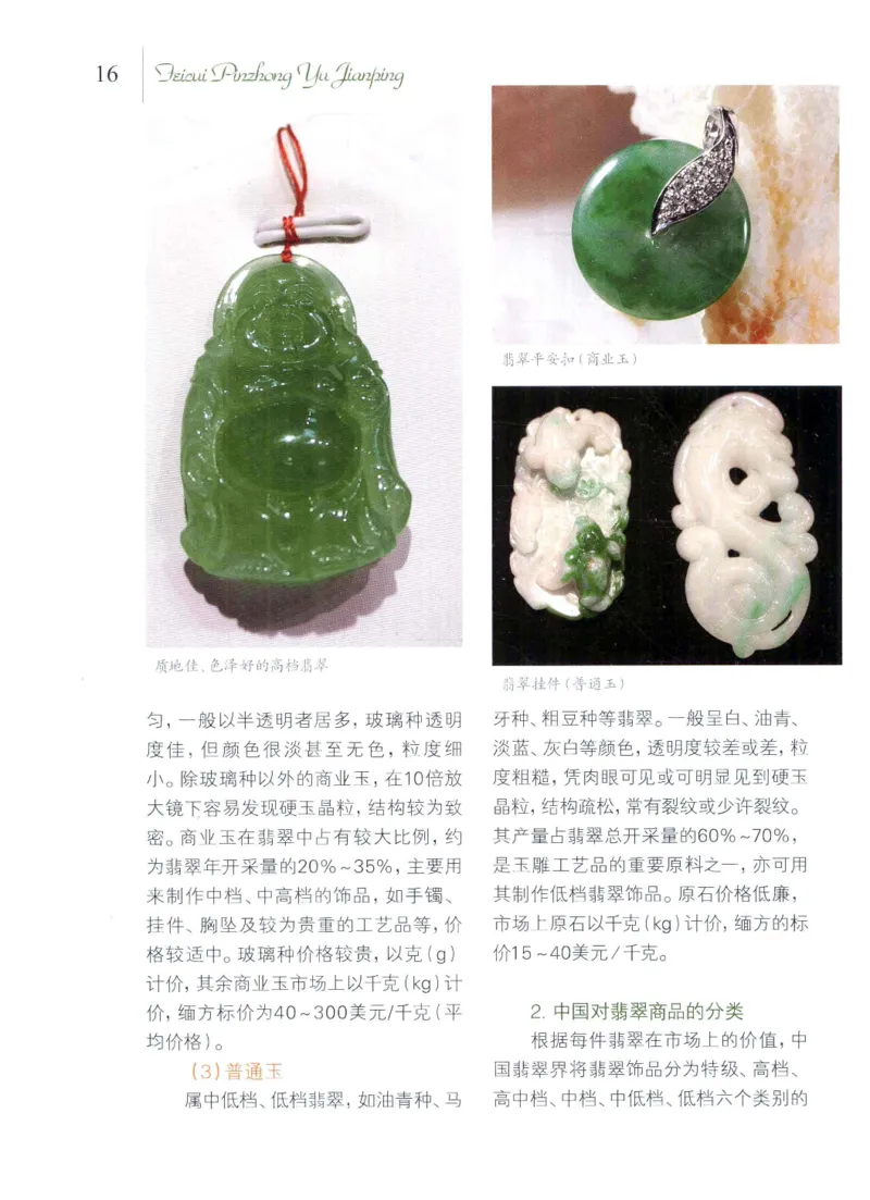 翡翠品种与鉴评_X018-玉石珠宝鉴定教程最新合集_6、翡翠鉴定专题全套课程_翡翠电子书_翡翠品评