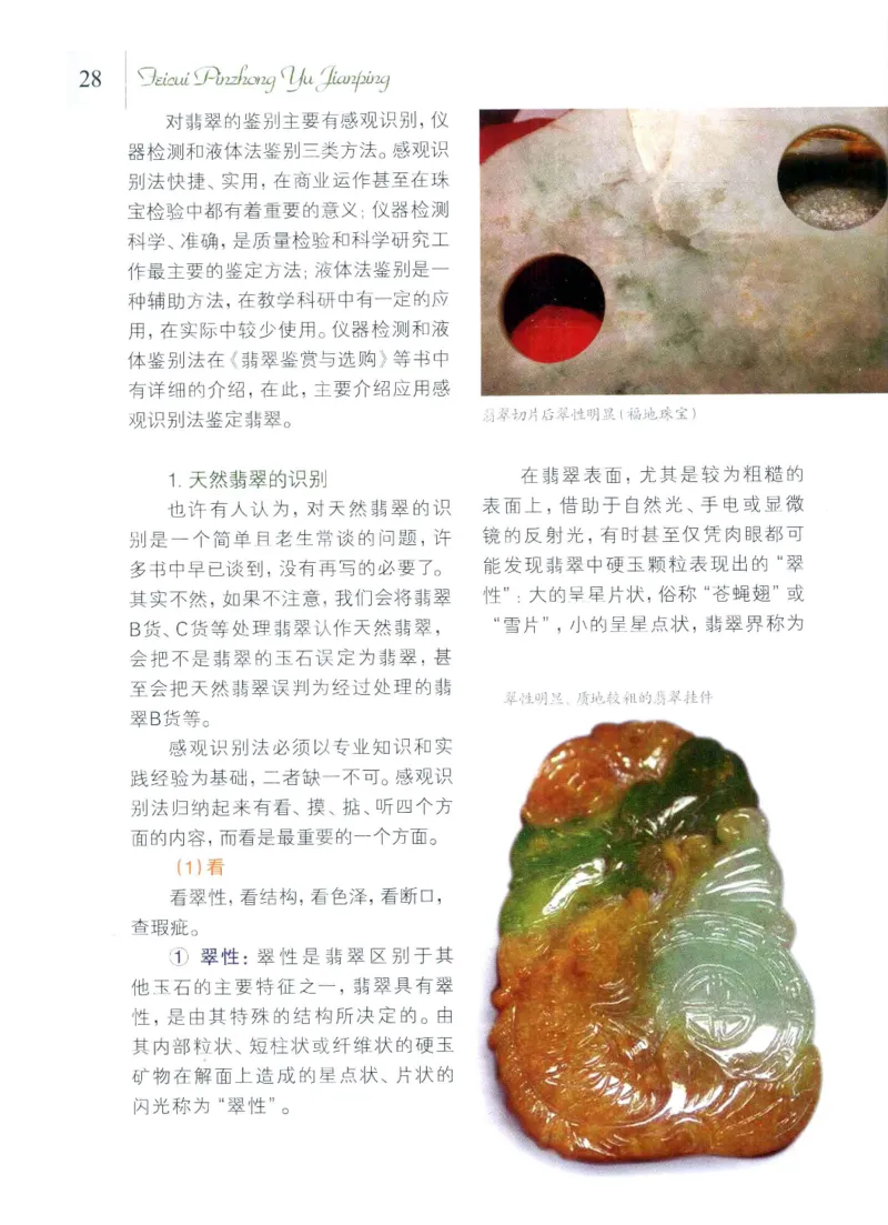 翡翠品种与鉴评_X018-玉石珠宝鉴定教程最新合集_6、翡翠鉴定专题全套课程_翡翠电子书_翡翠品评
