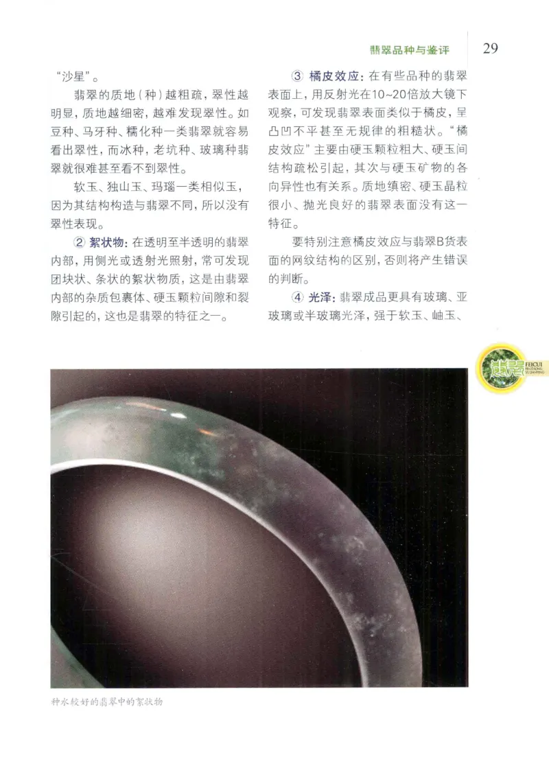 翡翠品种与鉴评_X018-玉石珠宝鉴定教程最新合集_6、翡翠鉴定专题全套课程_翡翠电子书_翡翠品评