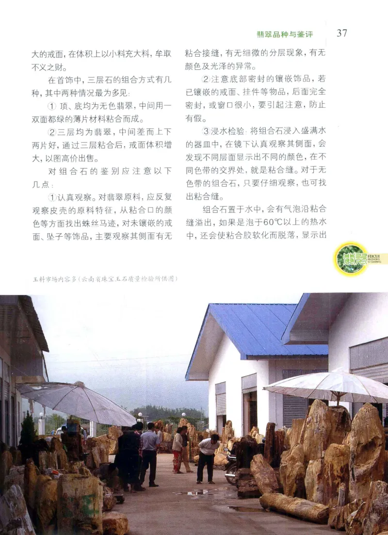 翡翠品种与鉴评_X018-玉石珠宝鉴定教程最新合集_6、翡翠鉴定专题全套课程_翡翠电子书_翡翠品评