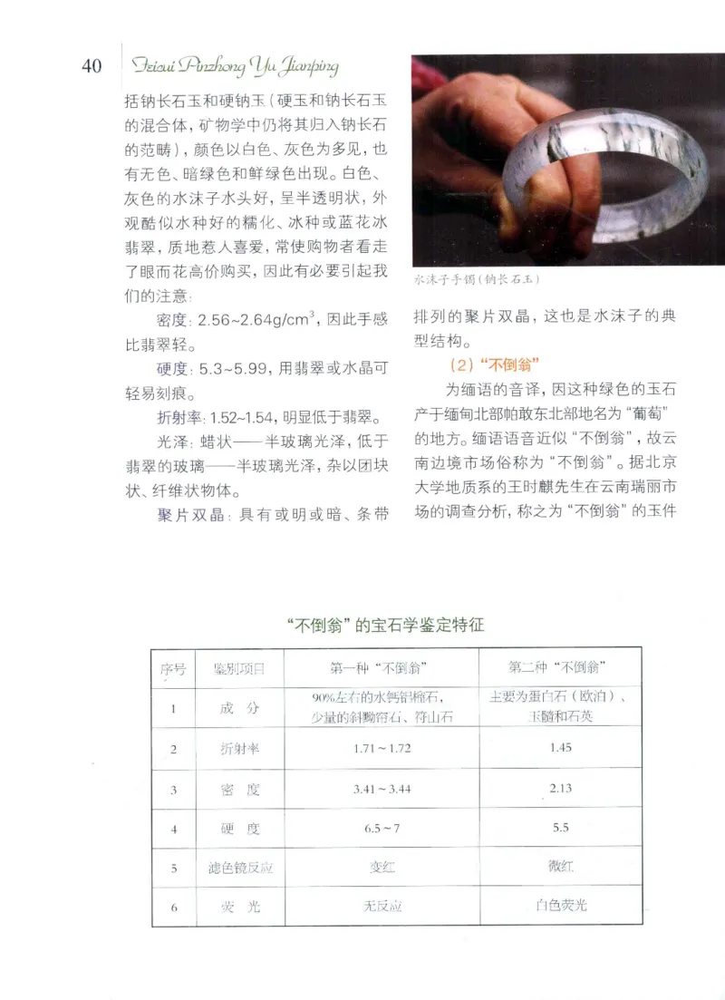 翡翠品种与鉴评_X018-玉石珠宝鉴定教程最新合集_6、翡翠鉴定专题全套课程_翡翠电子书_翡翠品评
