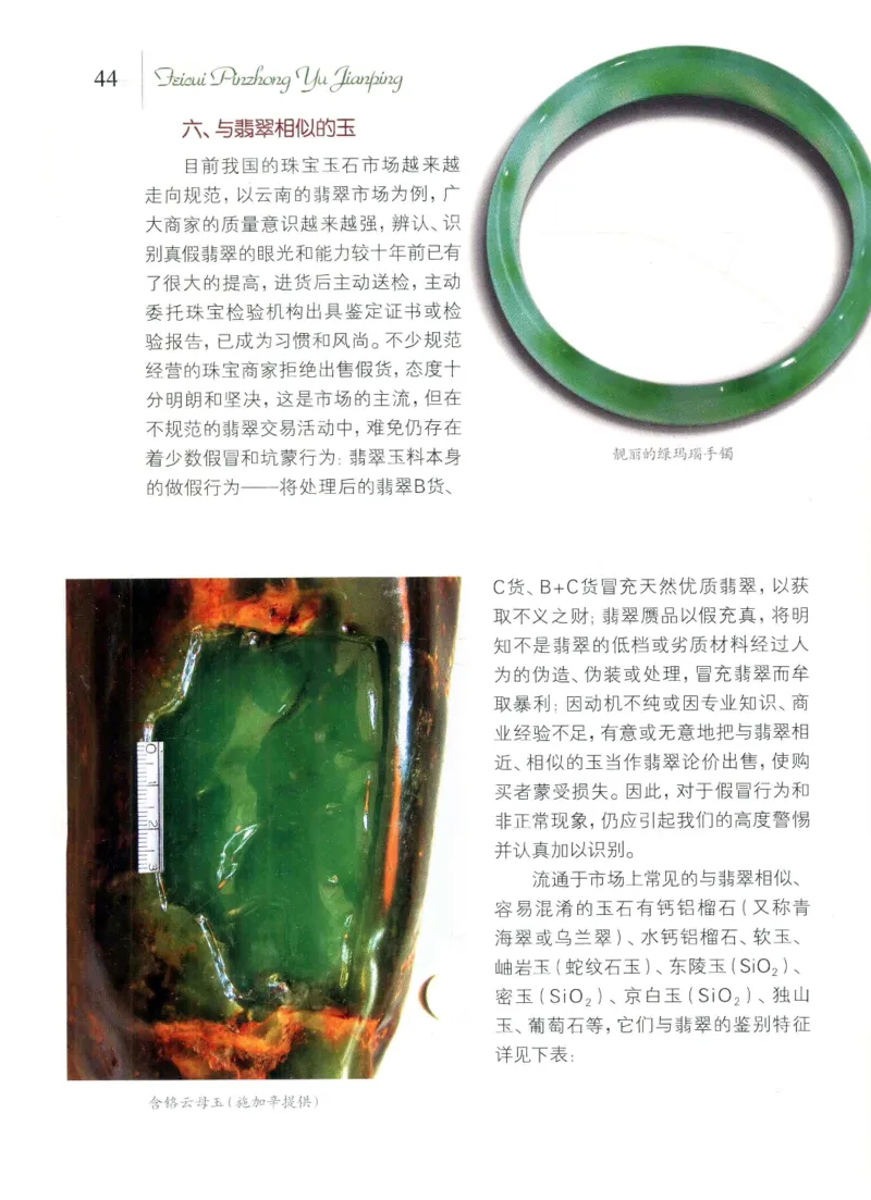 翡翠品种与鉴评_X018-玉石珠宝鉴定教程最新合集_6、翡翠鉴定专题全套课程_翡翠电子书_翡翠品评