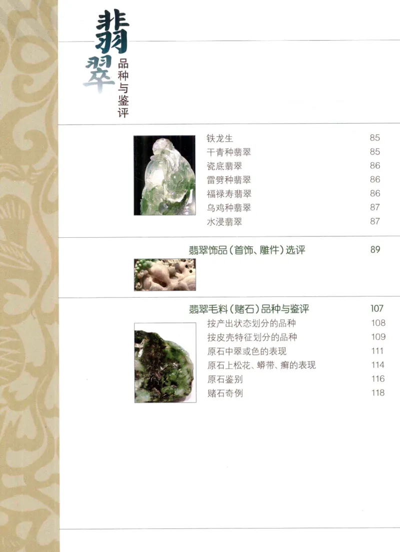 翡翠品种与鉴评_X018-玉石珠宝鉴定教程最新合集_6、翡翠鉴定专题全套课程_翡翠电子书_翡翠品评