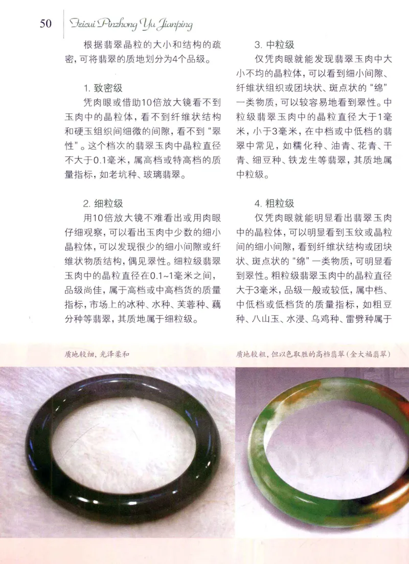 翡翠品种与鉴评_X018-玉石珠宝鉴定教程最新合集_6、翡翠鉴定专题全套课程_翡翠电子书_翡翠品评