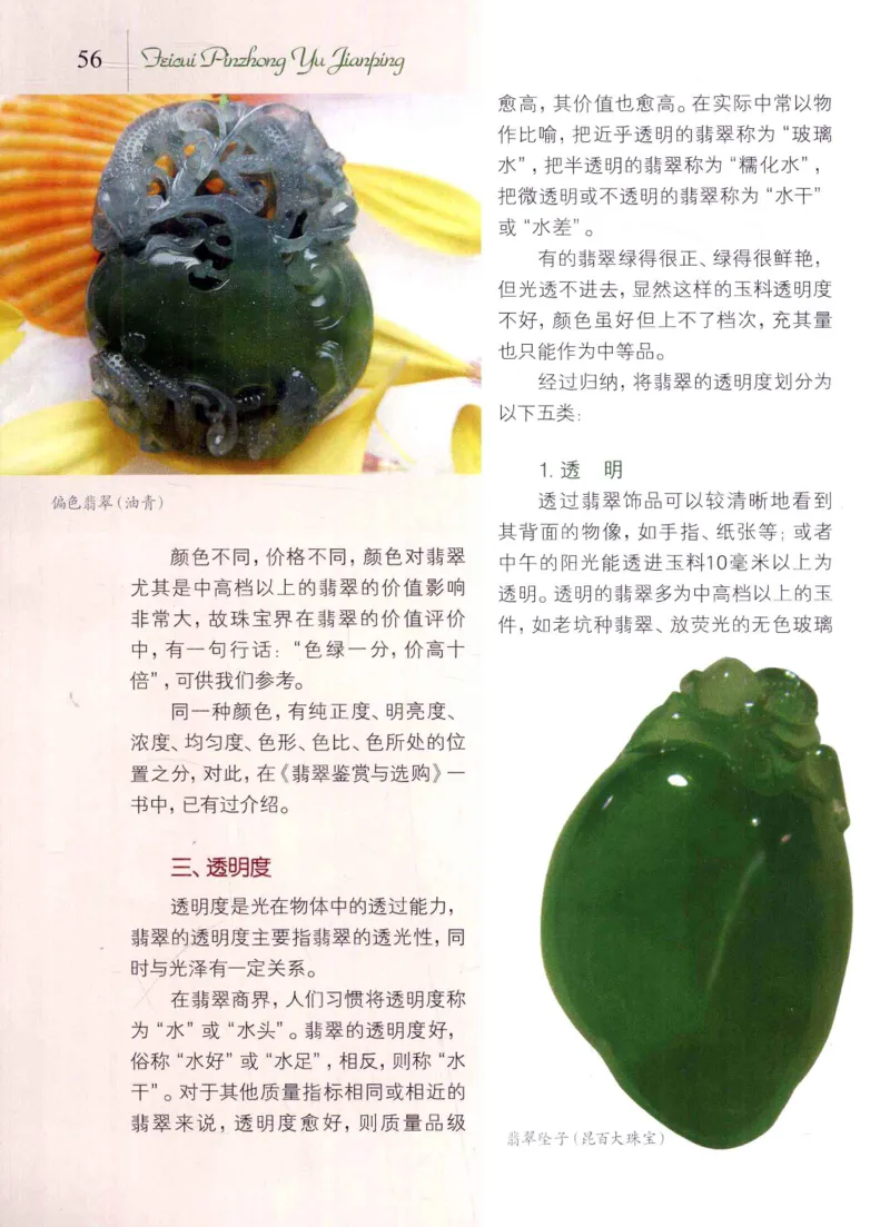 翡翠品种与鉴评_X018-玉石珠宝鉴定教程最新合集_6、翡翠鉴定专题全套课程_翡翠电子书_翡翠品评