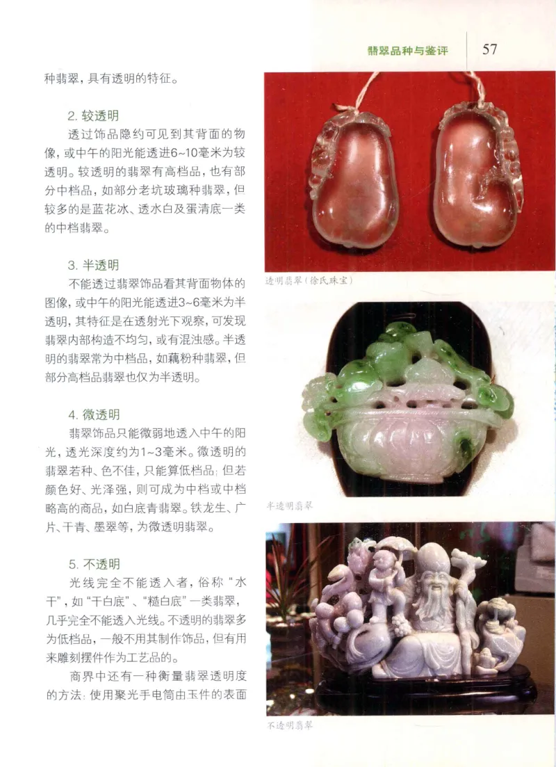 翡翠品种与鉴评_X018-玉石珠宝鉴定教程最新合集_6、翡翠鉴定专题全套课程_翡翠电子书_翡翠品评