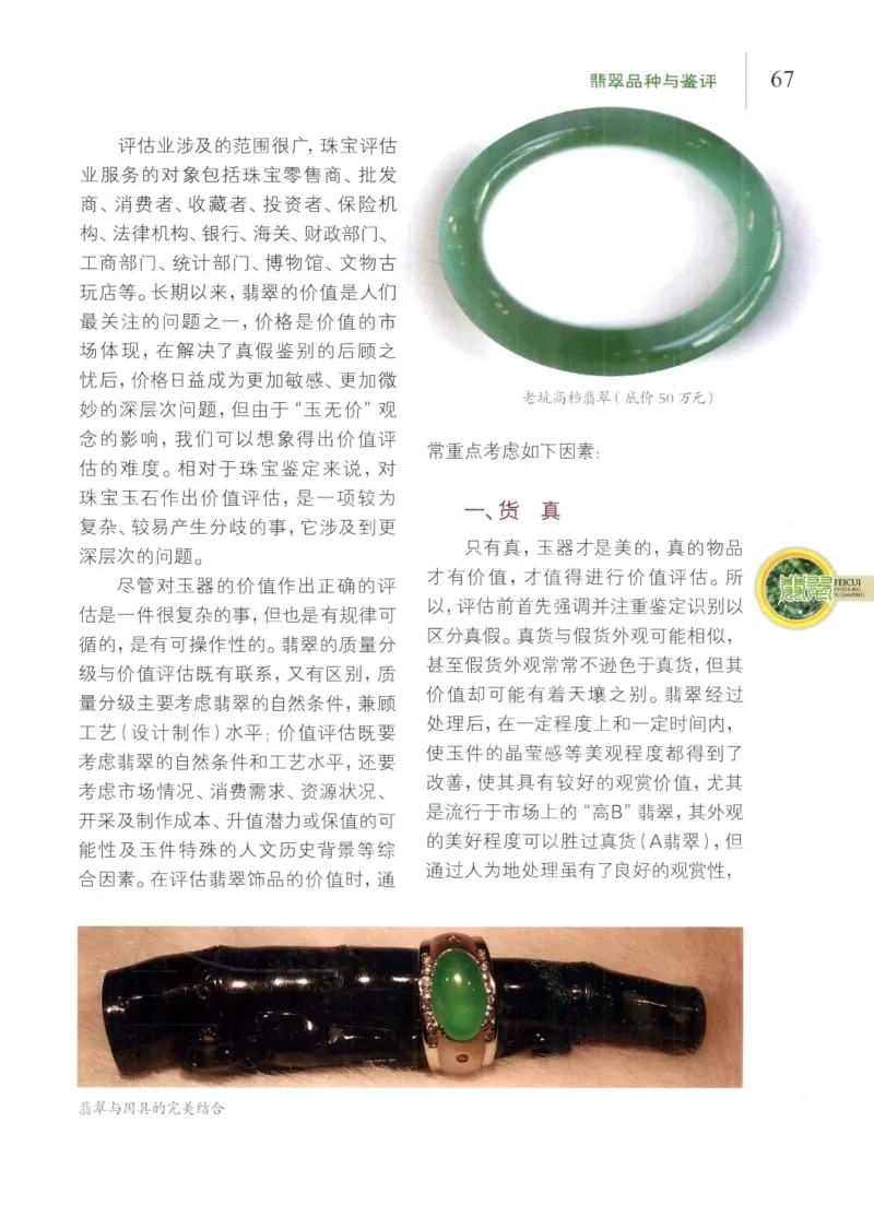 翡翠品种与鉴评_X018-玉石珠宝鉴定教程最新合集_6、翡翠鉴定专题全套课程_翡翠电子书_翡翠品评