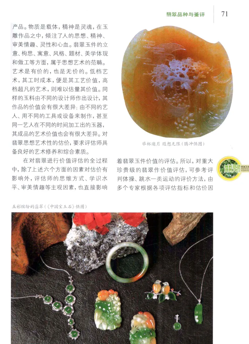 翡翠品种与鉴评_X018-玉石珠宝鉴定教程最新合集_6、翡翠鉴定专题全套课程_翡翠电子书_翡翠品评