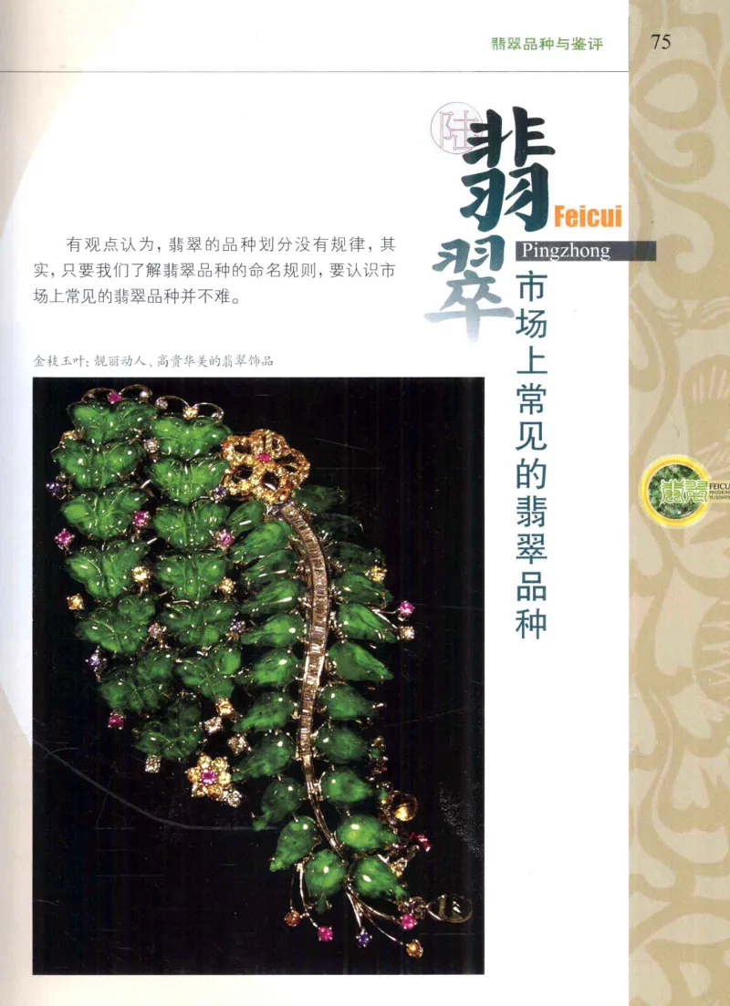 翡翠品种与鉴评_X018-玉石珠宝鉴定教程最新合集_6、翡翠鉴定专题全套课程_翡翠电子书_翡翠品评