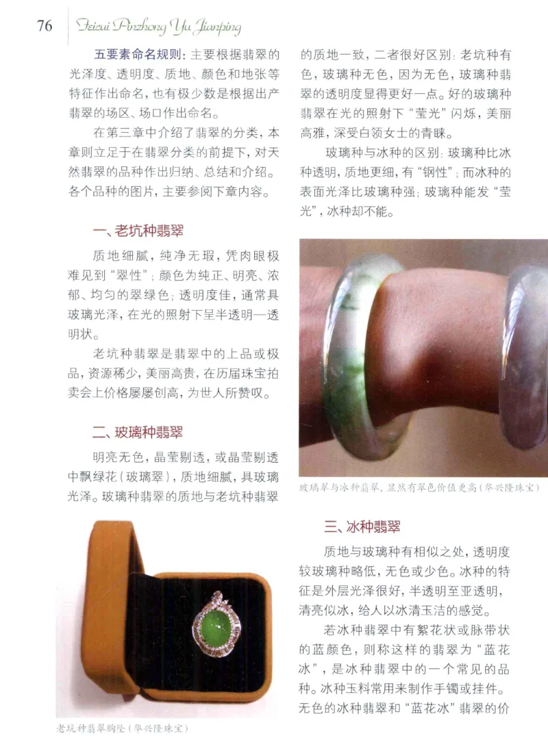 翡翠品种与鉴评_X018-玉石珠宝鉴定教程最新合集_6、翡翠鉴定专题全套课程_翡翠电子书_翡翠品评