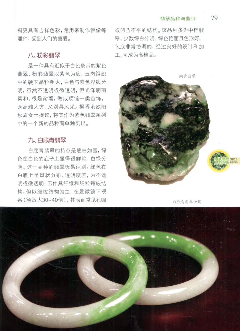 翡翠品种与鉴评_X018-玉石珠宝鉴定教程最新合集_6、翡翠鉴定专题全套课程_翡翠电子书_翡翠品评