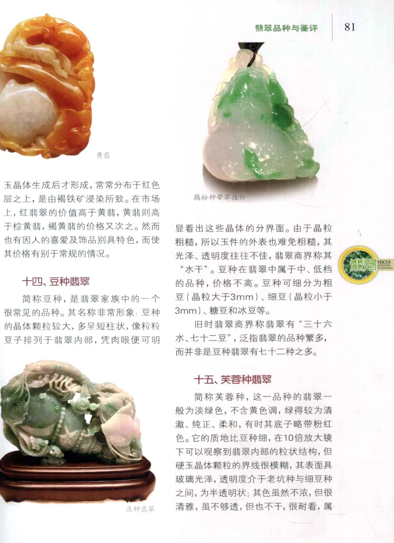 翡翠品种与鉴评_X018-玉石珠宝鉴定教程最新合集_6、翡翠鉴定专题全套课程_翡翠电子书_翡翠品评