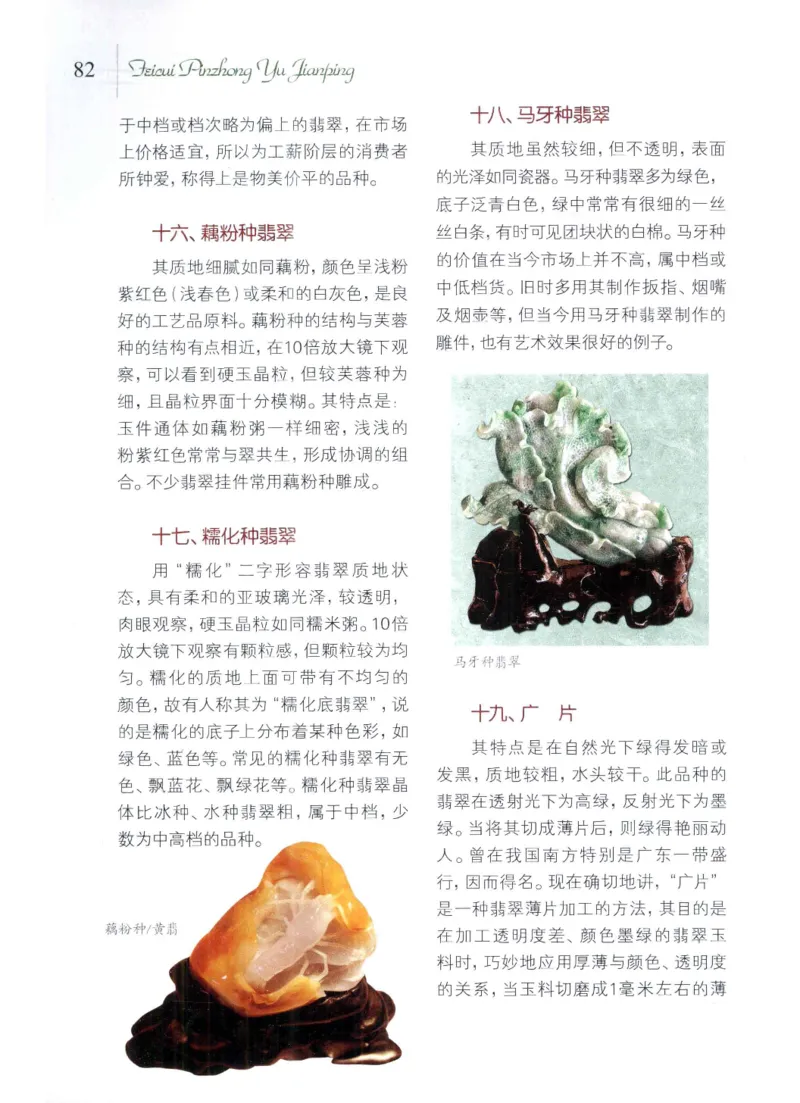翡翠品种与鉴评_X018-玉石珠宝鉴定教程最新合集_6、翡翠鉴定专题全套课程_翡翠电子书_翡翠品评