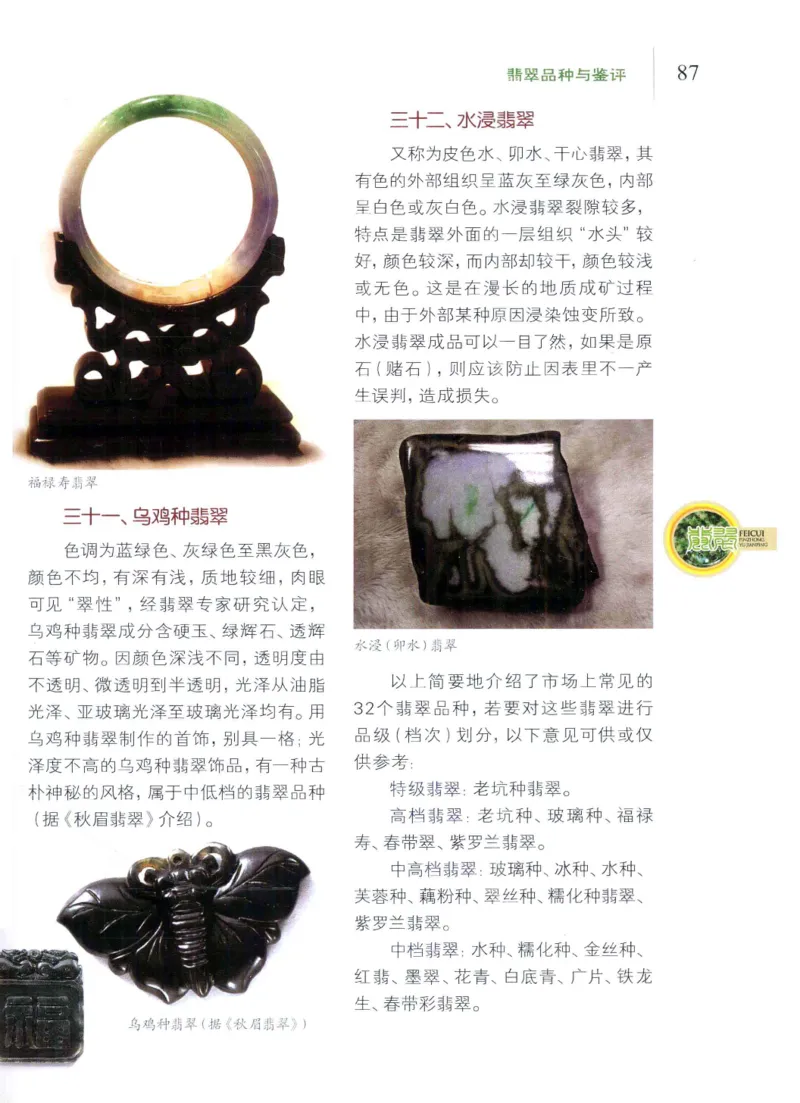 翡翠品种与鉴评_X018-玉石珠宝鉴定教程最新合集_6、翡翠鉴定专题全套课程_翡翠电子书_翡翠品评