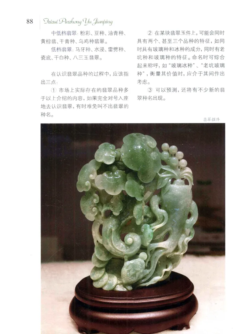 翡翠品种与鉴评_X018-玉石珠宝鉴定教程最新合集_6、翡翠鉴定专题全套课程_翡翠电子书_翡翠品评