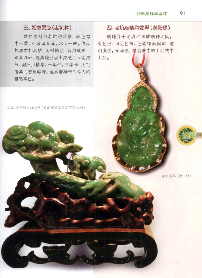 翡翠品种与鉴评_X018-玉石珠宝鉴定教程最新合集_6、翡翠鉴定专题全套课程_翡翠电子书_翡翠品评