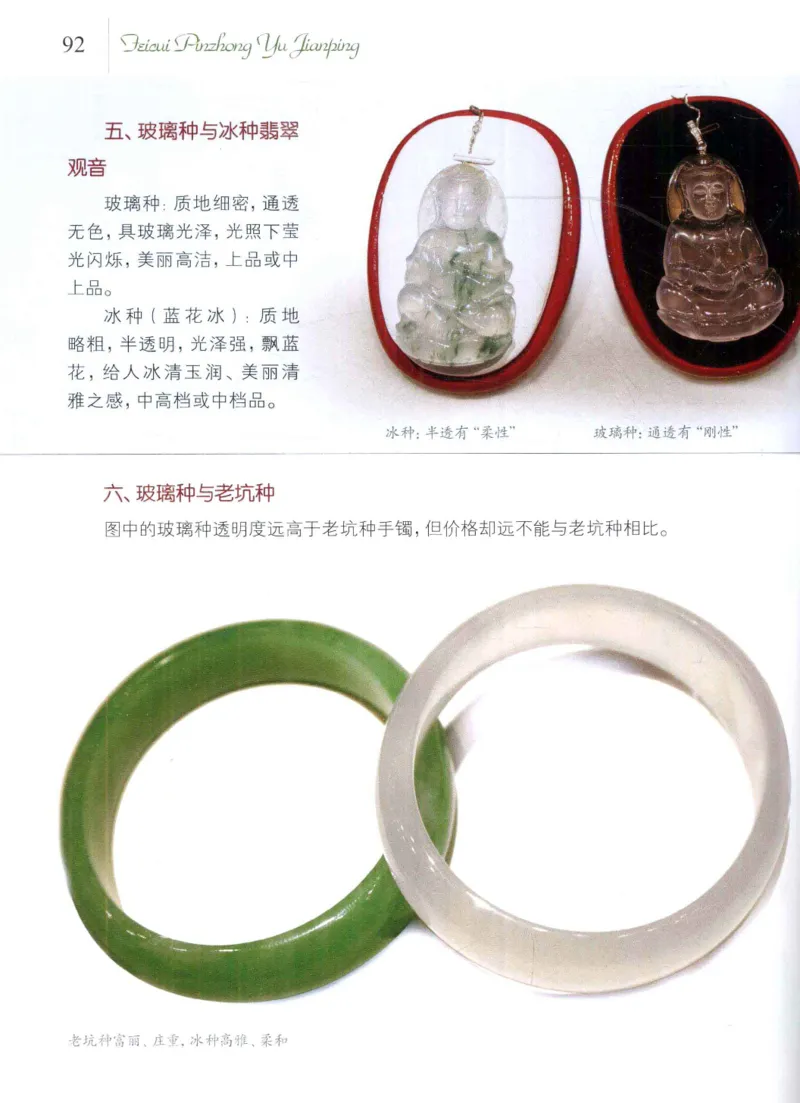 翡翠品种与鉴评_X018-玉石珠宝鉴定教程最新合集_6、翡翠鉴定专题全套课程_翡翠电子书_翡翠品评