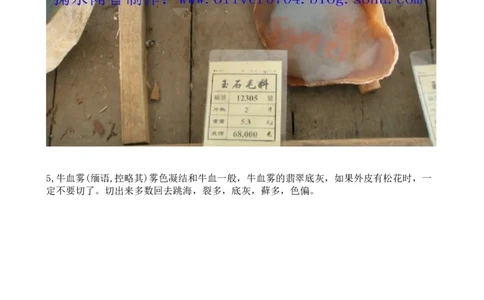 翡翠原石&mdash;&mdash;雾的奥秘_X018-玉石珠宝鉴定教程最新合集_8、玉石翡翠鉴定与投资电子资料_赌石专题