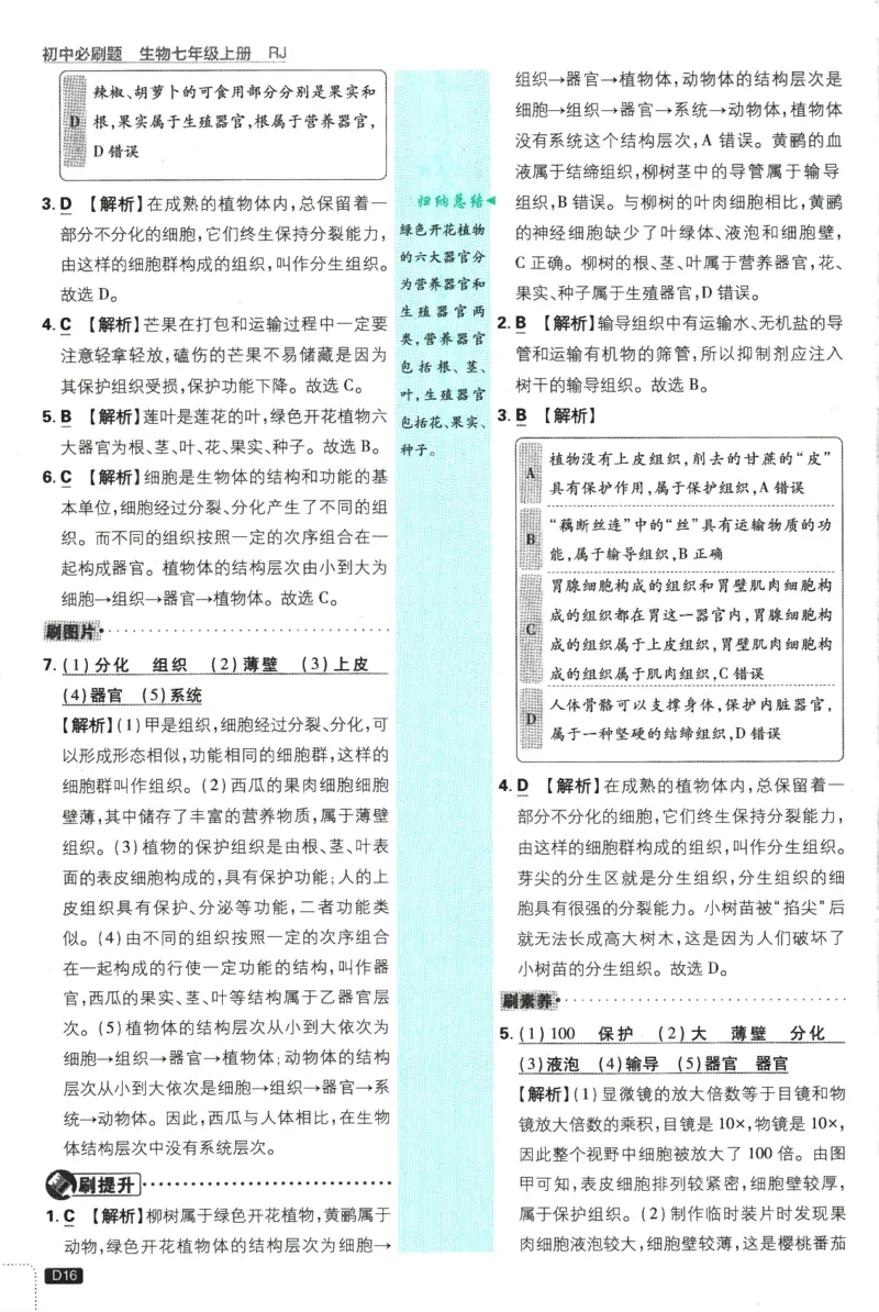 2026版《初中必刷题》生物RJ7上批注式详答与详析_A007初中必刷合集2_A039初中必刷题合集_7上_2026版《初中必刷题》生物RJ7上