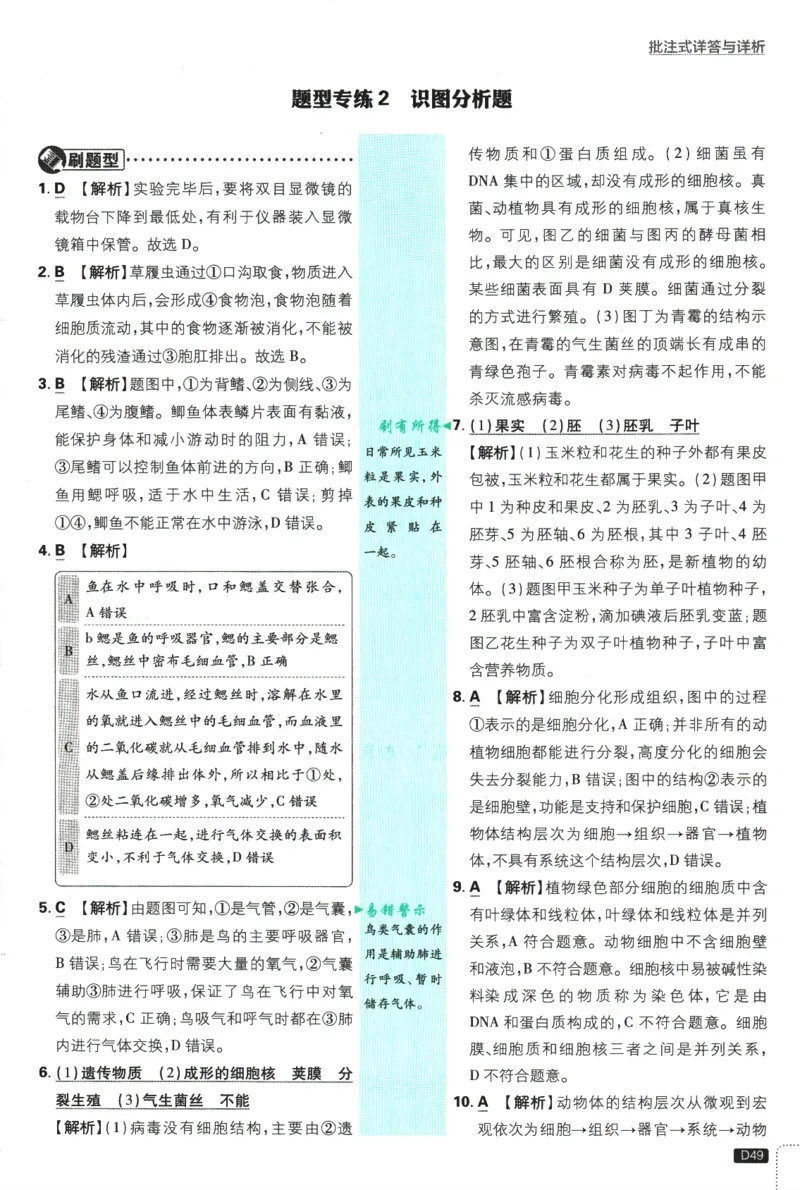 2026版《初中必刷题》生物RJ7上批注式详答与详析_A007初中必刷合集2_A039初中必刷题合集_7上_2026版《初中必刷题》生物RJ7上