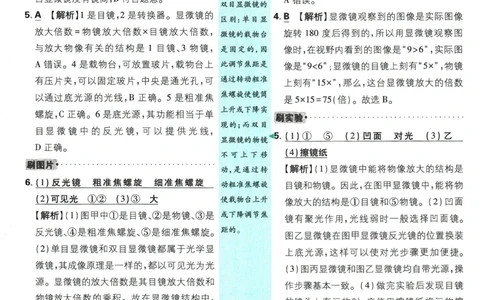 2026版《初中必刷题》生物RJ7上批注式详答与详析_A007初中必刷合集2_A039初中必刷题合集_7上_2026版《初中必刷题》生物RJ7上