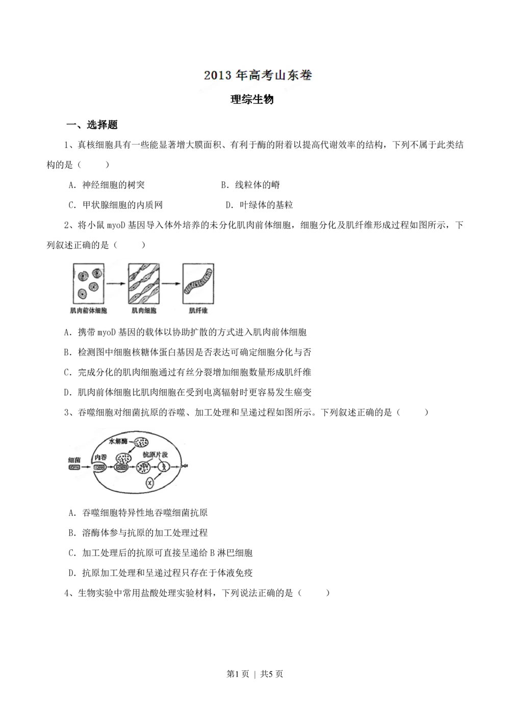 2013年高考生物试卷（山东）（空白卷）_生物历年高考真题_新&middot;PDF版2008-2025&middot;高考生物真题_生物（按年份分类）2008-2025_2013&middot;高考生物真题