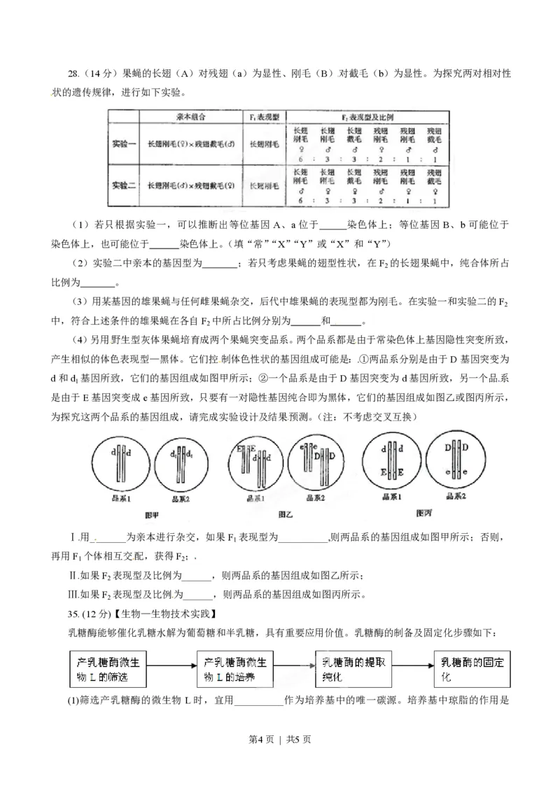 2015年高考生物试卷（山东）（空白卷）_生物历年高考真题_新&middot;PDF版2008-2025&middot;高考生物真题_生物（按试卷类型分类）2008-2025_自主命题卷&middot;生物（2008-2025）