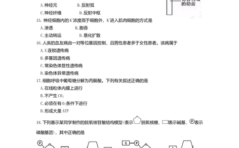 2016年高考生物试卷（浙江）4月（空白卷）_生物历年高考真题_新&middot;Word版2008-2025&middot;高考生物真题_生物（按年份分类）2008-2025_2016&middot;高考生物真题