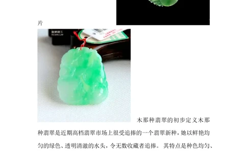 木那种翡翠_X018-玉石珠宝鉴定教程最新合集_8、玉石翡翠鉴定与投资电子资料_赌石专题
