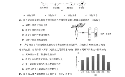 2017年高考生物试卷（上海）（空白卷）_生物历年高考真题_新&middot;PDF版2008-2025&middot;高考生物真题_生物（按试卷类型分类）2008-2025_自主命题卷&middot;生物（2008-2025）_上海自主命题&middot;生物（2008-2022）