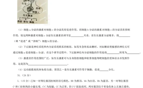 2015年高考生物试卷（安徽）（空白卷）_生物历年高考真题_新&middot;PDF版2008-2025&middot;高考生物真题_生物（按试卷类型分类）2008-2025_自主命题卷&middot;生物（2008-2025）