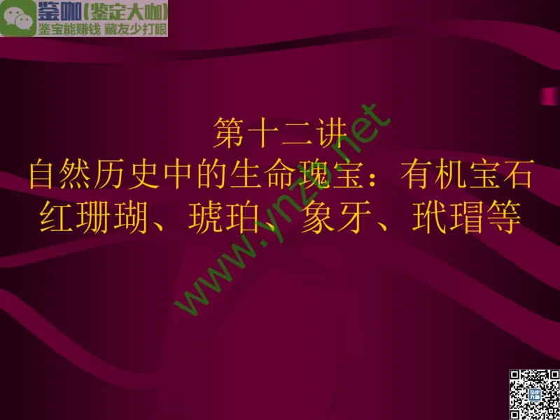 第12讲：自然历史中的生命瑰宝：有机宝石(珊瑚、琥珀、象牙等)_X018-玉石珠宝鉴定教程最新合集_3、珠宝玉石鉴赏学习资料合集_珠宝玉石大学培训讲座教材