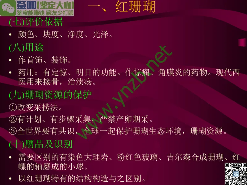 第12讲：自然历史中的生命瑰宝：有机宝石(珊瑚、琥珀、象牙等)_X018-玉石珠宝鉴定教程最新合集_3、珠宝玉石鉴赏学习资料合集_珠宝玉石大学培训讲座教材