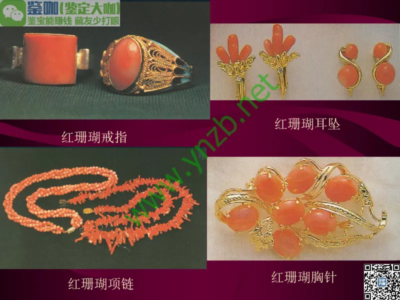 第12讲：自然历史中的生命瑰宝：有机宝石(珊瑚、琥珀、象牙等)_X018-玉石珠宝鉴定教程最新合集_3、珠宝玉石鉴赏学习资料合集_珠宝玉石大学培训讲座教材