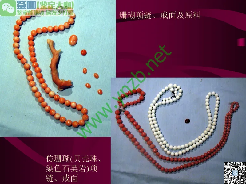 第12讲：自然历史中的生命瑰宝：有机宝石(珊瑚、琥珀、象牙等)_X018-玉石珠宝鉴定教程最新合集_3、珠宝玉石鉴赏学习资料合集_珠宝玉石大学培训讲座教材