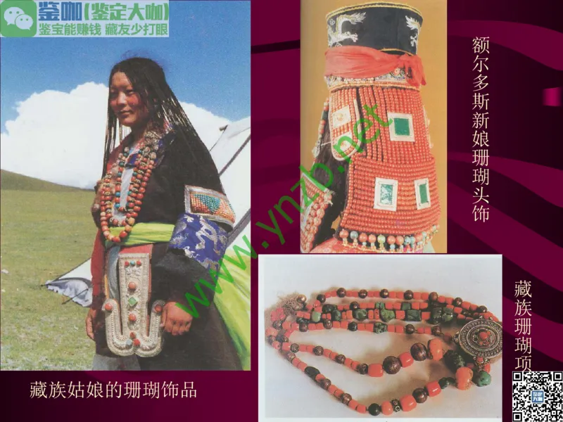 第12讲：自然历史中的生命瑰宝：有机宝石(珊瑚、琥珀、象牙等)_X018-玉石珠宝鉴定教程最新合集_3、珠宝玉石鉴赏学习资料合集_珠宝玉石大学培训讲座教材