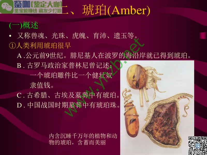 第12讲：自然历史中的生命瑰宝：有机宝石(珊瑚、琥珀、象牙等)_X018-玉石珠宝鉴定教程最新合集_3、珠宝玉石鉴赏学习资料合集_珠宝玉石大学培训讲座教材