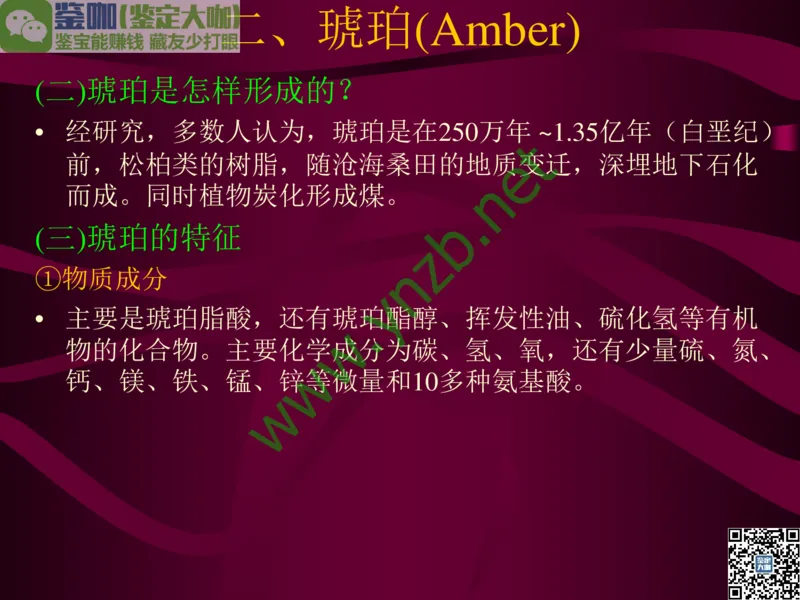 第12讲：自然历史中的生命瑰宝：有机宝石(珊瑚、琥珀、象牙等)_X018-玉石珠宝鉴定教程最新合集_3、珠宝玉石鉴赏学习资料合集_珠宝玉石大学培训讲座教材