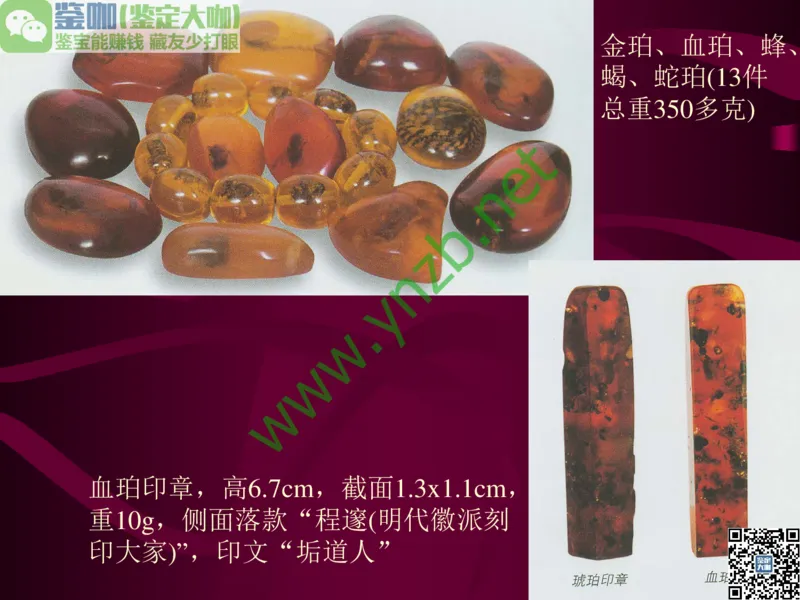 第12讲：自然历史中的生命瑰宝：有机宝石(珊瑚、琥珀、象牙等)_X018-玉石珠宝鉴定教程最新合集_3、珠宝玉石鉴赏学习资料合集_珠宝玉石大学培训讲座教材