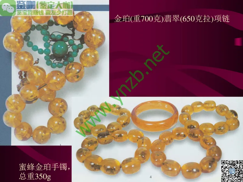 第12讲：自然历史中的生命瑰宝：有机宝石(珊瑚、琥珀、象牙等)_X018-玉石珠宝鉴定教程最新合集_3、珠宝玉石鉴赏学习资料合集_珠宝玉石大学培训讲座教材