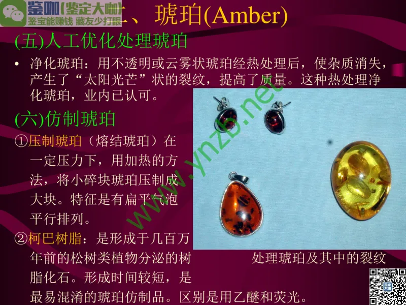 第12讲：自然历史中的生命瑰宝：有机宝石(珊瑚、琥珀、象牙等)_X018-玉石珠宝鉴定教程最新合集_3、珠宝玉石鉴赏学习资料合集_珠宝玉石大学培训讲座教材