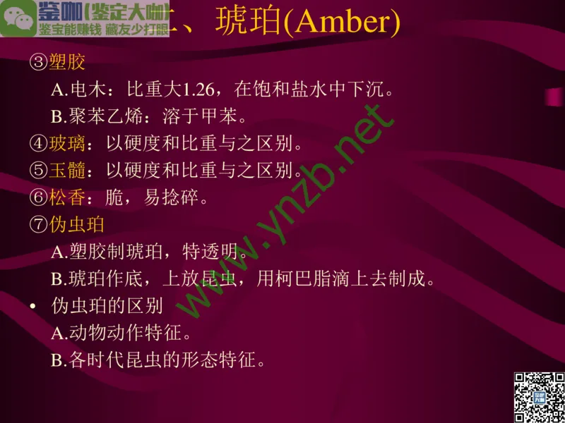 第12讲：自然历史中的生命瑰宝：有机宝石(珊瑚、琥珀、象牙等)_X018-玉石珠宝鉴定教程最新合集_3、珠宝玉石鉴赏学习资料合集_珠宝玉石大学培训讲座教材