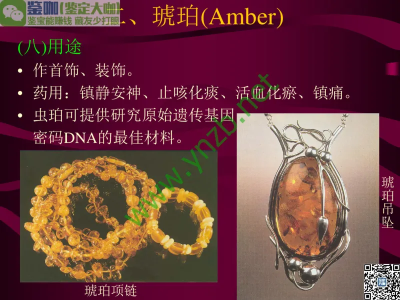 第12讲：自然历史中的生命瑰宝：有机宝石(珊瑚、琥珀、象牙等)_X018-玉石珠宝鉴定教程最新合集_3、珠宝玉石鉴赏学习资料合集_珠宝玉石大学培训讲座教材