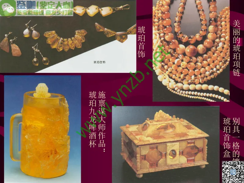 第12讲：自然历史中的生命瑰宝：有机宝石(珊瑚、琥珀、象牙等)_X018-玉石珠宝鉴定教程最新合集_3、珠宝玉石鉴赏学习资料合集_珠宝玉石大学培训讲座教材