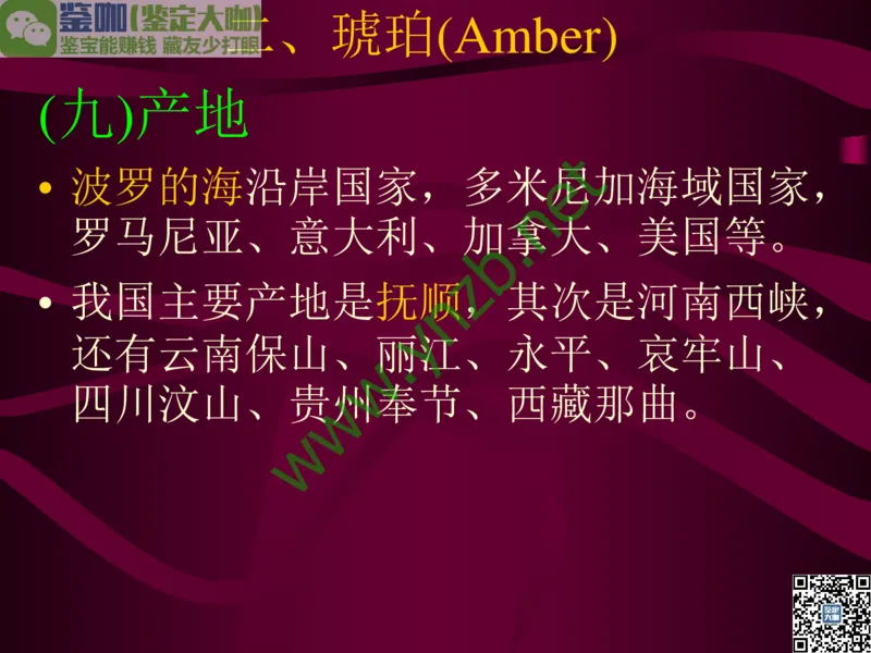 第12讲：自然历史中的生命瑰宝：有机宝石(珊瑚、琥珀、象牙等)_X018-玉石珠宝鉴定教程最新合集_3、珠宝玉石鉴赏学习资料合集_珠宝玉石大学培训讲座教材