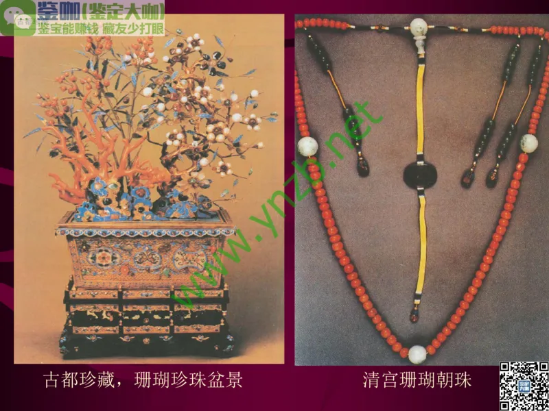 第12讲：自然历史中的生命瑰宝：有机宝石(珊瑚、琥珀、象牙等)_X018-玉石珠宝鉴定教程最新合集_3、珠宝玉石鉴赏学习资料合集_珠宝玉石大学培训讲座教材