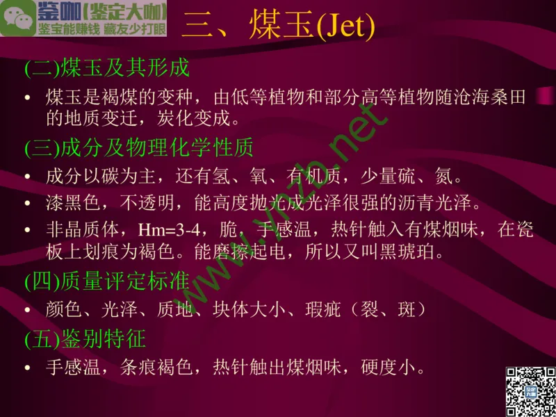 第12讲：自然历史中的生命瑰宝：有机宝石(珊瑚、琥珀、象牙等)_X018-玉石珠宝鉴定教程最新合集_3、珠宝玉石鉴赏学习资料合集_珠宝玉石大学培训讲座教材