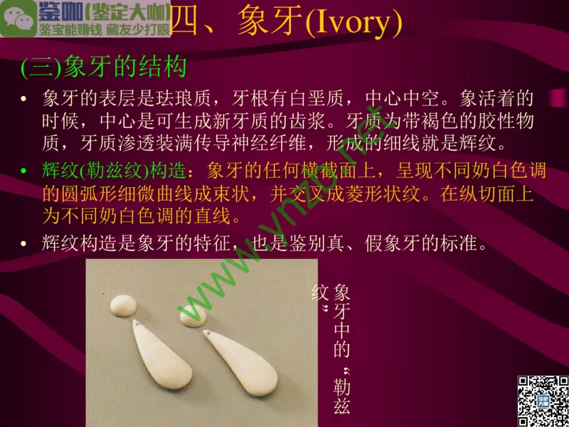 第12讲：自然历史中的生命瑰宝：有机宝石(珊瑚、琥珀、象牙等)_X018-玉石珠宝鉴定教程最新合集_3、珠宝玉石鉴赏学习资料合集_珠宝玉石大学培训讲座教材