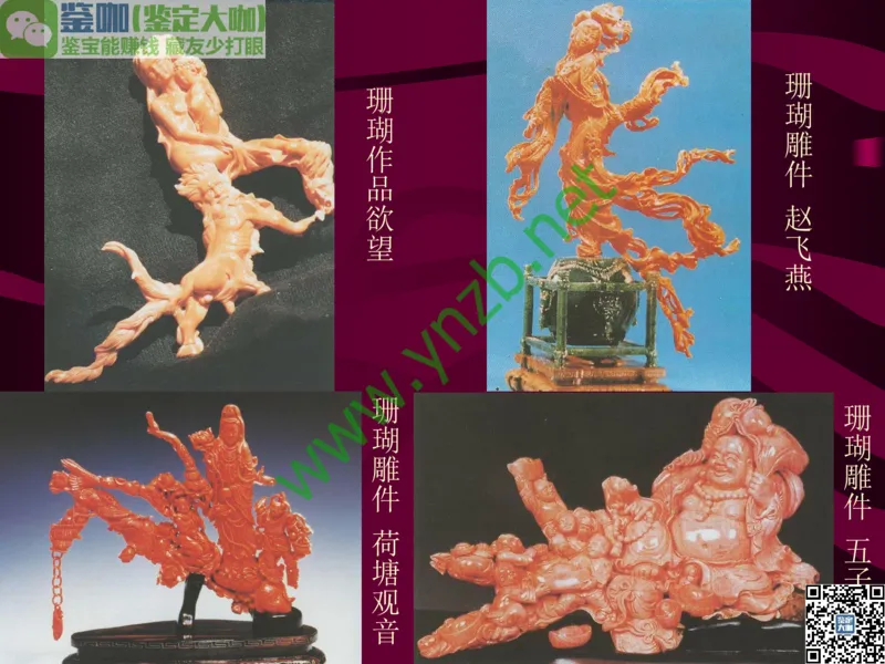 第12讲：自然历史中的生命瑰宝：有机宝石(珊瑚、琥珀、象牙等)_X018-玉石珠宝鉴定教程最新合集_3、珠宝玉石鉴赏学习资料合集_珠宝玉石大学培训讲座教材