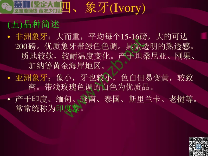 第12讲：自然历史中的生命瑰宝：有机宝石(珊瑚、琥珀、象牙等)_X018-玉石珠宝鉴定教程最新合集_3、珠宝玉石鉴赏学习资料合集_珠宝玉石大学培训讲座教材